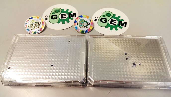 Packets containing BioBricks and cool iGEM stickers and pins.