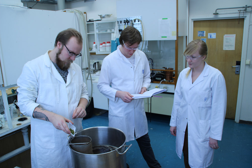 Student Martin Borud tilsetter humle til kokende vørter, mens doktorgradsstipendiat Magnus Hattrem og student Eirin Korvald studerer temperaturprofiler av meskingen. Foto: Institutt for bioteknologi / NTNU